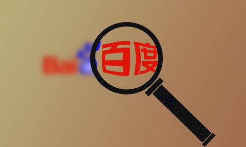 小旋风蜘蛛池全解源码